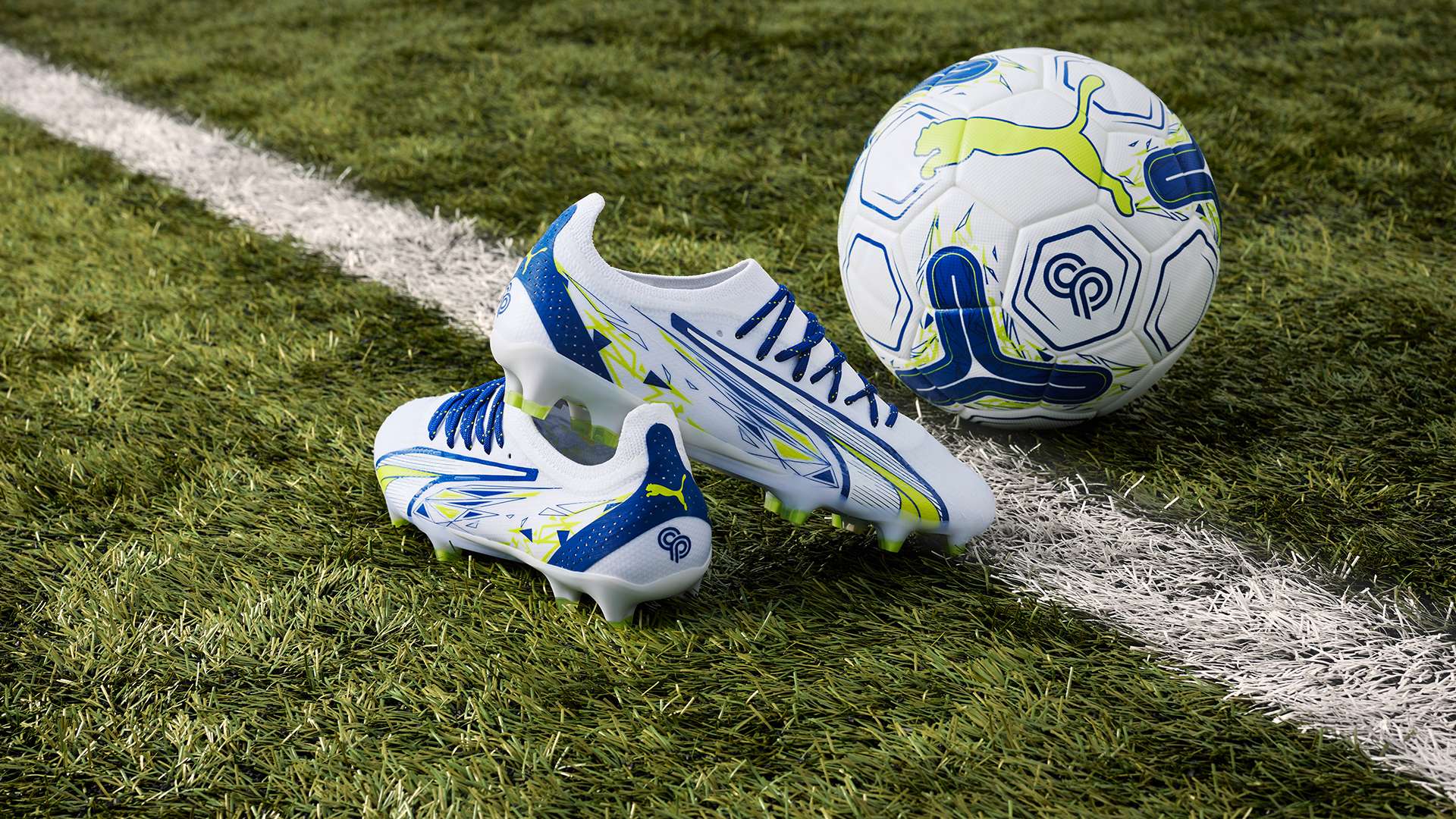 再次证明了 再次证明了