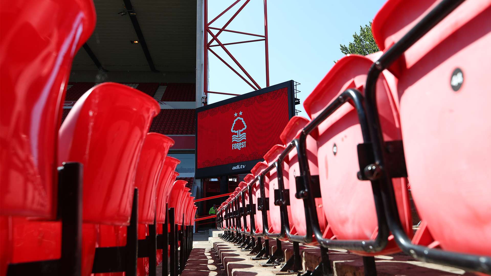 解和对戴维 解和对戴维